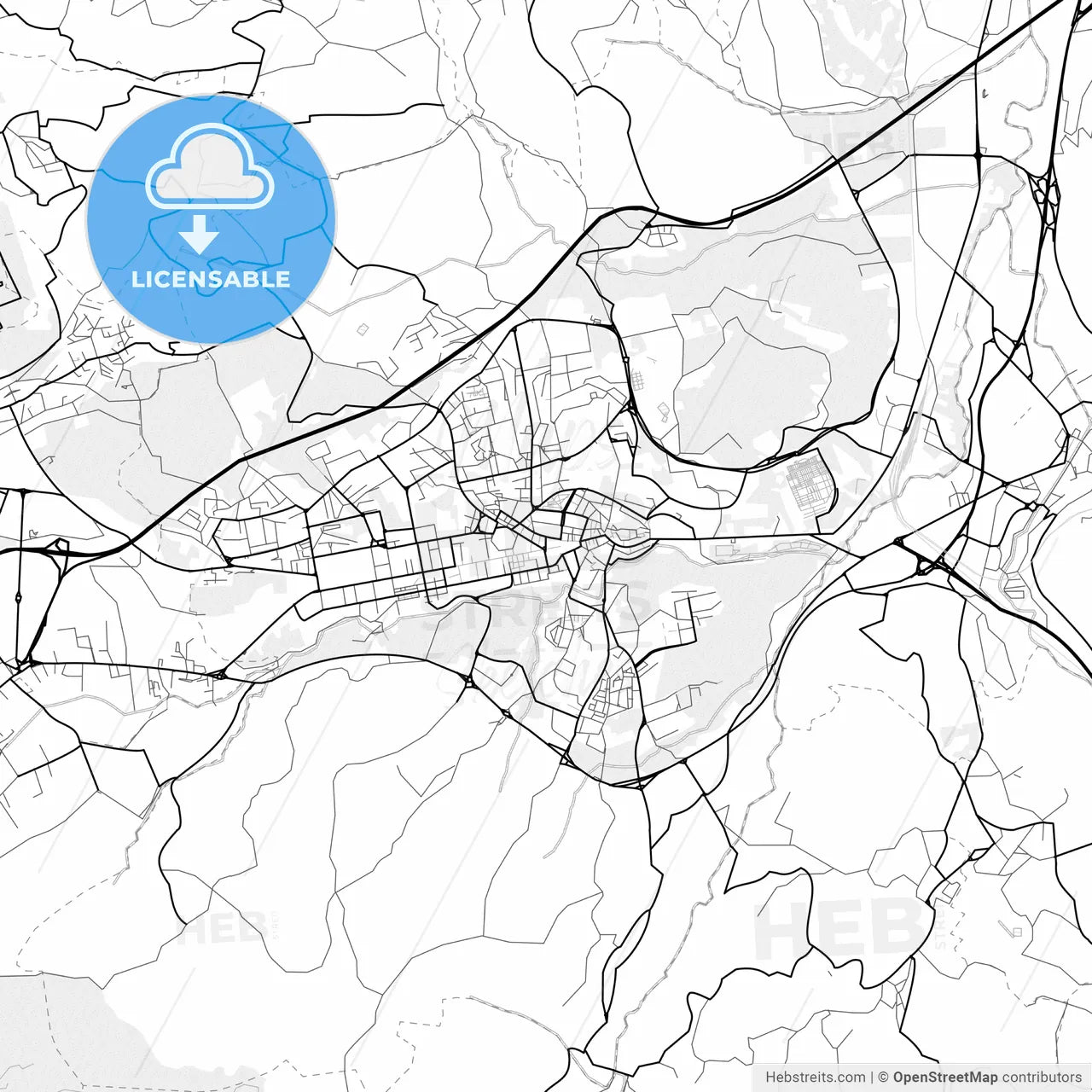Vector PDF map of Avellino, Italy