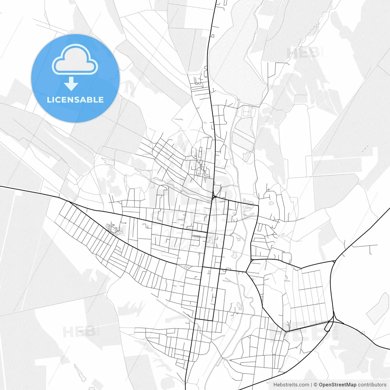Vector PDF map of Comrat, Moldova