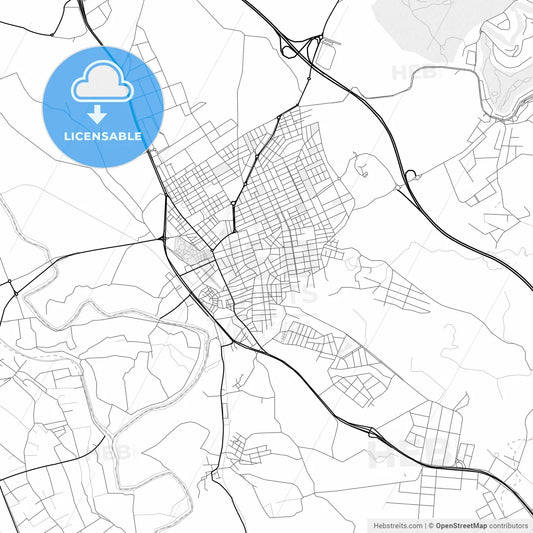 Vector PDF map of Molina de Segura, Spain