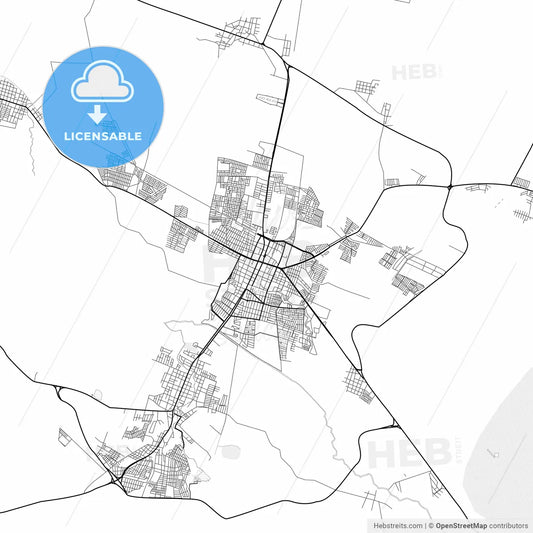 Vector PDF map of Zamora, Mexico