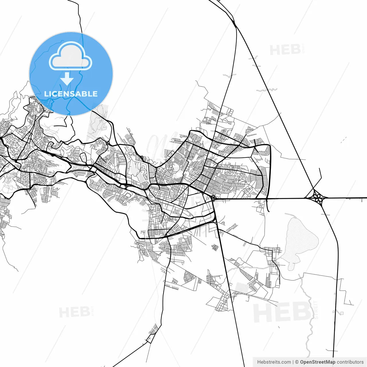 Vector PDF map of Guadalupe, Mexico