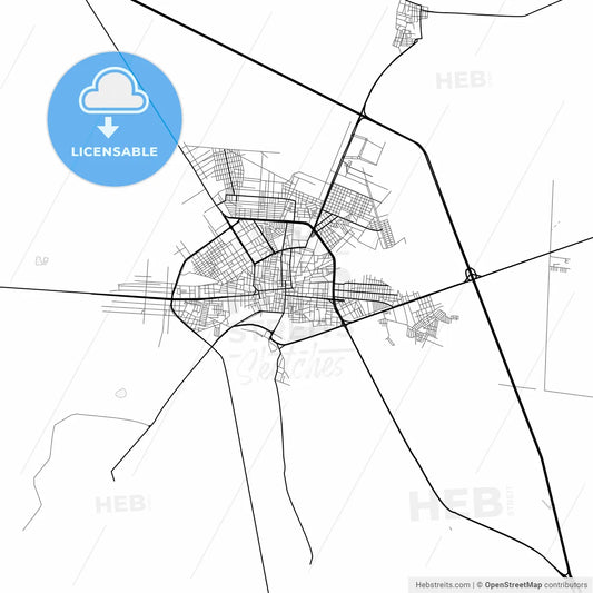 Vector PDF map of Fresnillo, Mexico