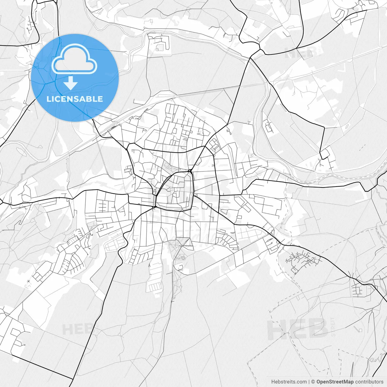 Vector PDF map of Naumburg (Saale), Germany