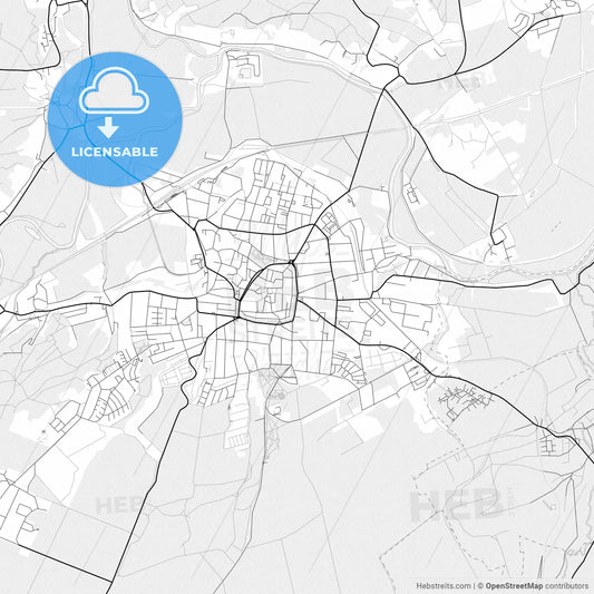 Vector PDF map of Naumburg (Saale), Germany
