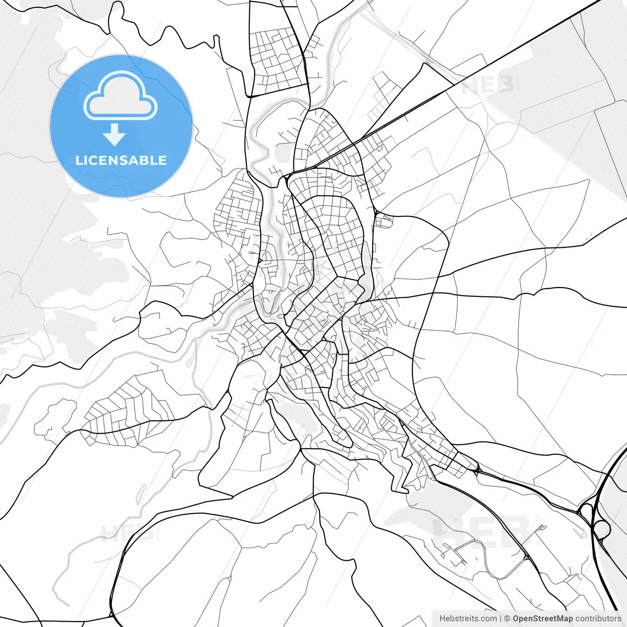 Vector PDF map of Veria, Greece