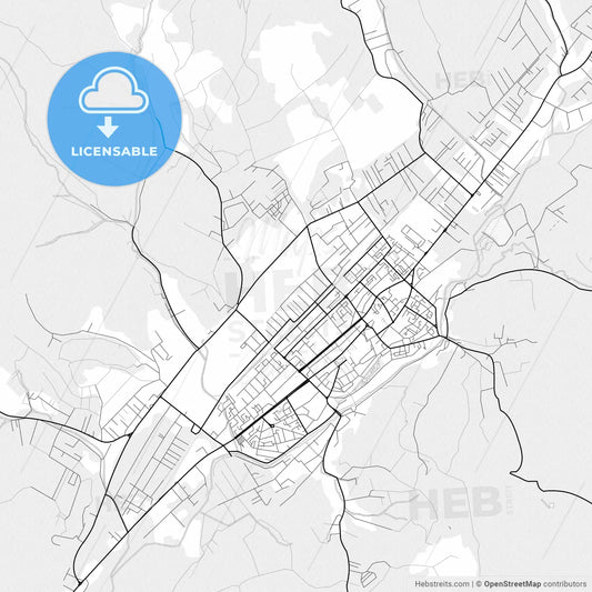 Vector PDF map of Bistrița, Romania