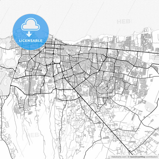 Vector PDF map of Managua, Nicaragua