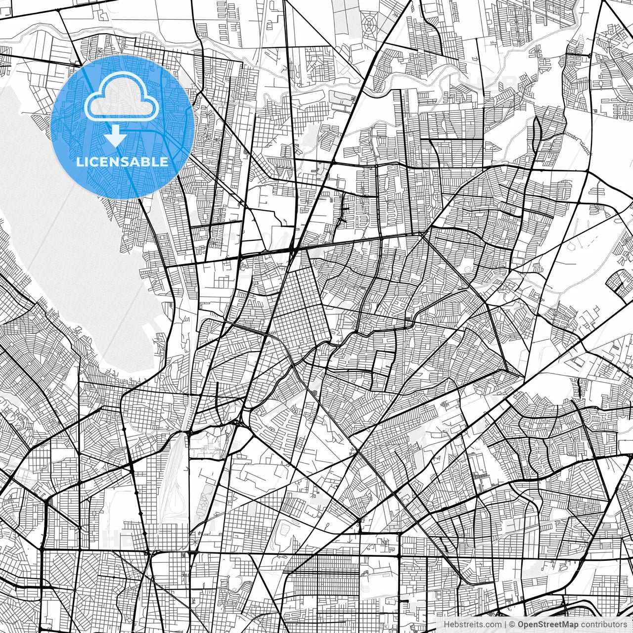 Vector PDF map of San Nicolás de los Garza, Mexico