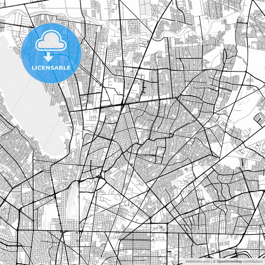 Vector PDF map of San Nicolás de los Garza, Mexico