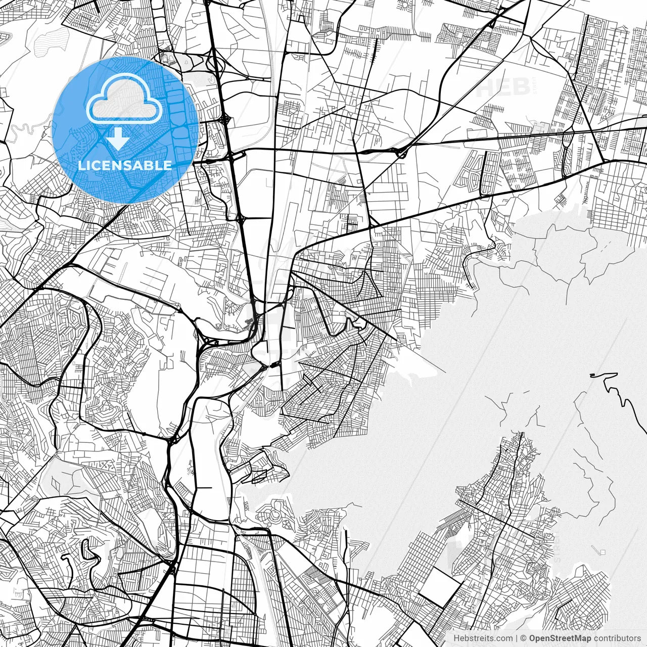 Vector PDF map of Buenavista, Mexico