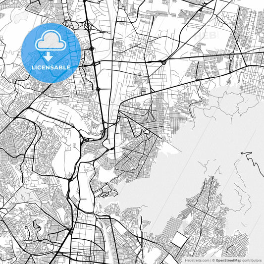 Vector PDF map of Buenavista, Mexico
