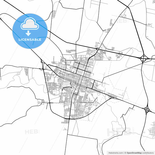 Vector PDF map of Salamanca, Mexico