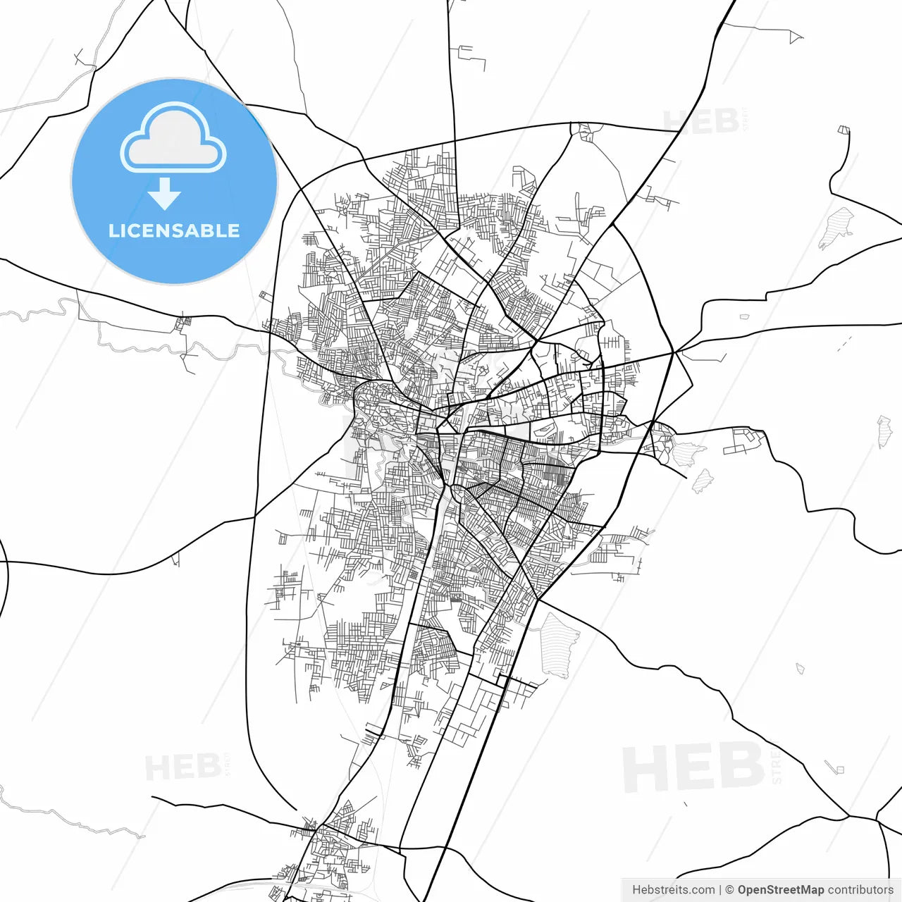 Vector PDF map of Amravati, India