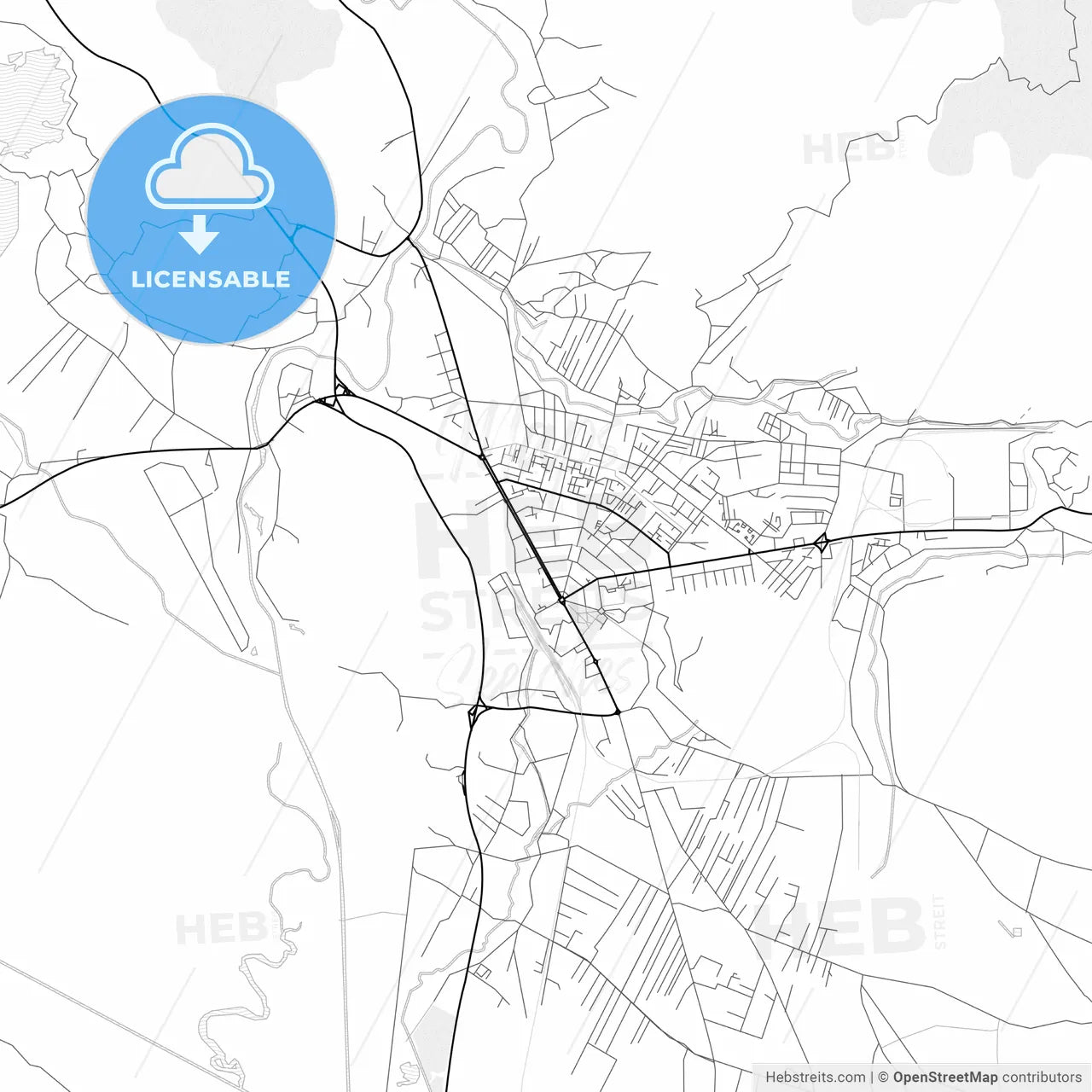 Vector PDF map of Nikšić, Montenegro