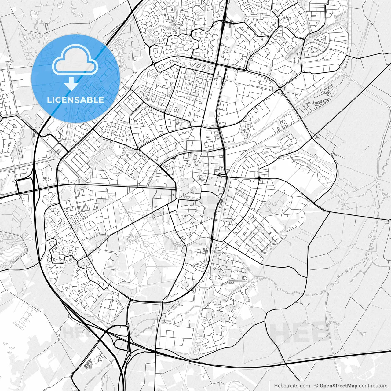 Vector PDF map of Assen, Netherlands