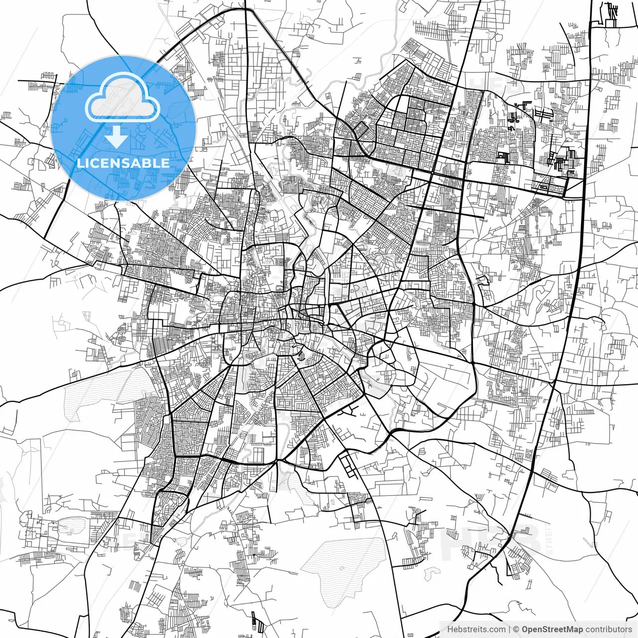 Vector PDF map of Indore, India