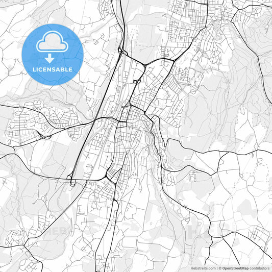 Vector PDF map of Ravensburg, Germany