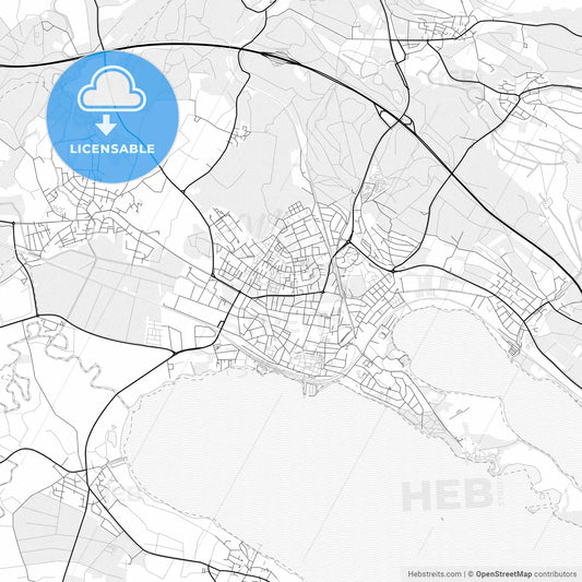 Vector PDF map of Radolfzell am Bodensee, Germany