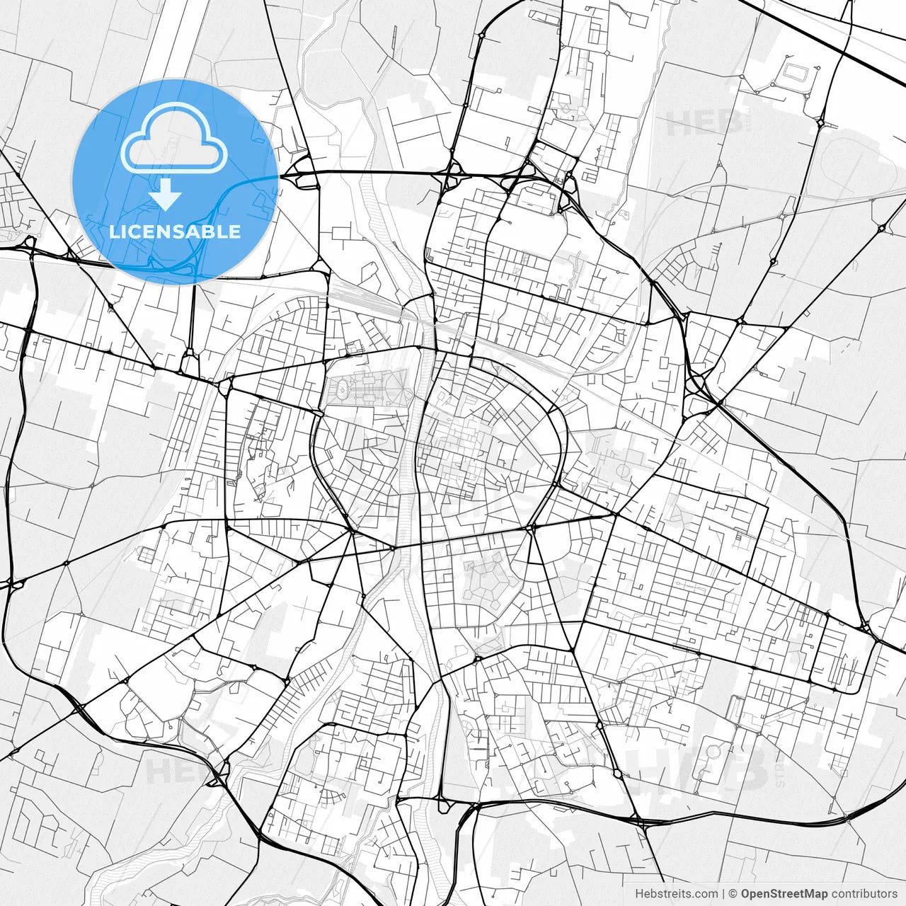 Vector PDF map of Parma, Italy