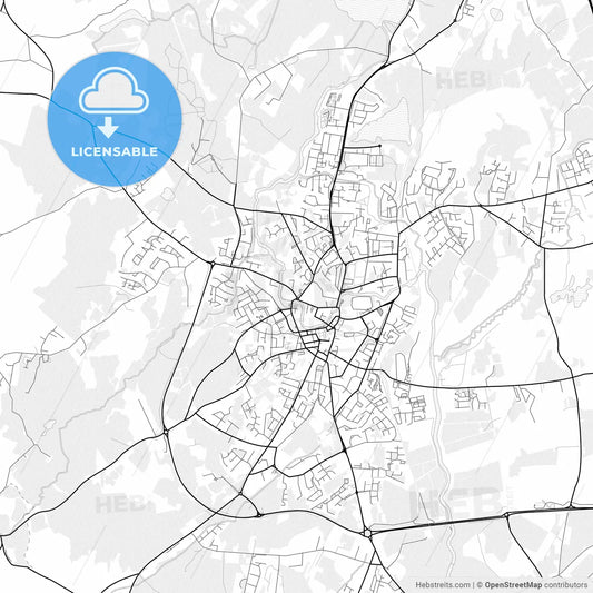Vector PDF map of Ennis, Ireland