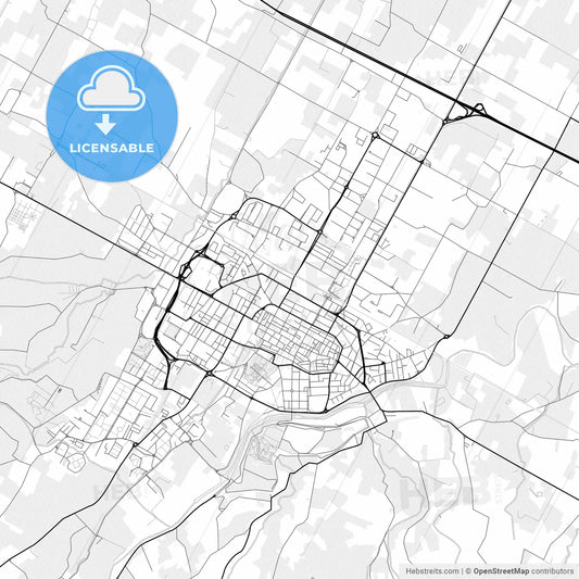 Vector PDF map of Imola, Italy