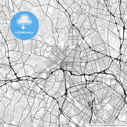 Vector PDF map of Paterson, New Jersey, United States