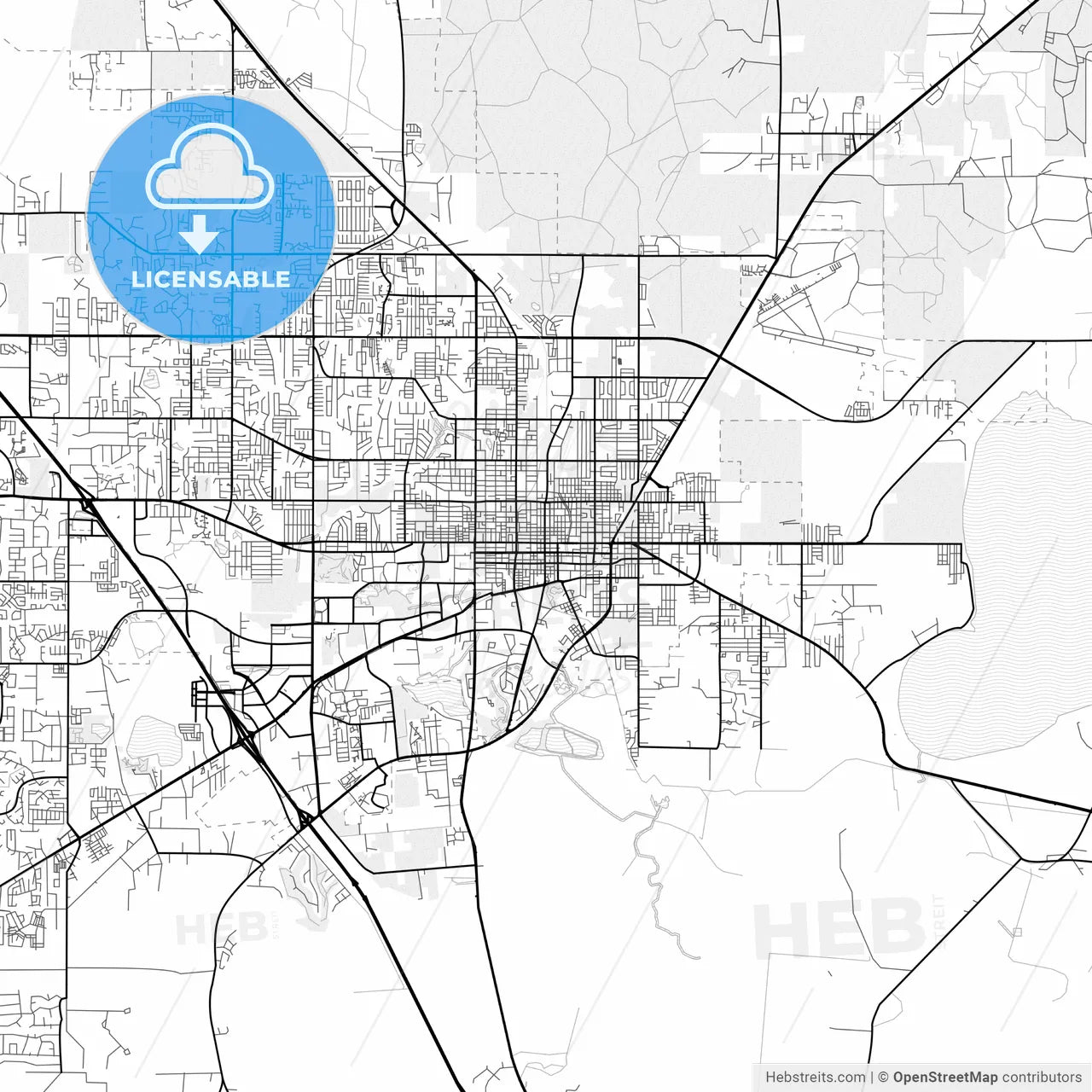 Vector PDF map of Gainesville, Florida, United States