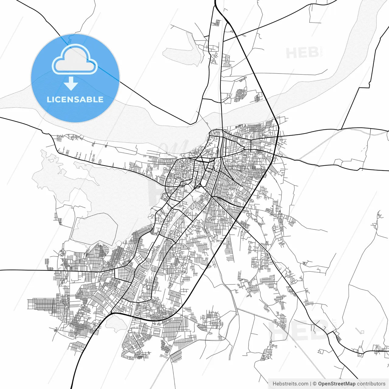 Vector PDF map of Nellore, India