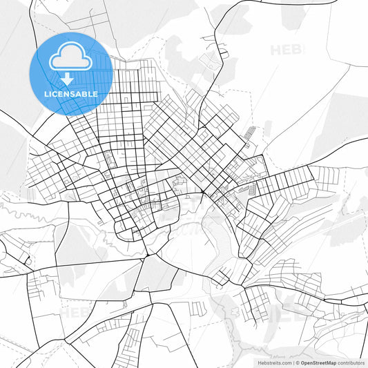 Vector PDF map of Klintsy, Russia