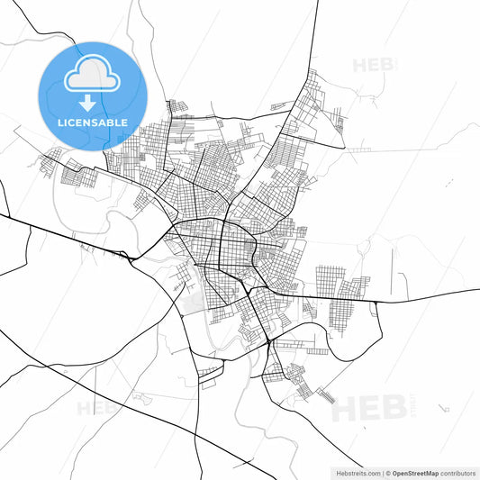 Vector PDF map of Ciudad Valles, Mexico