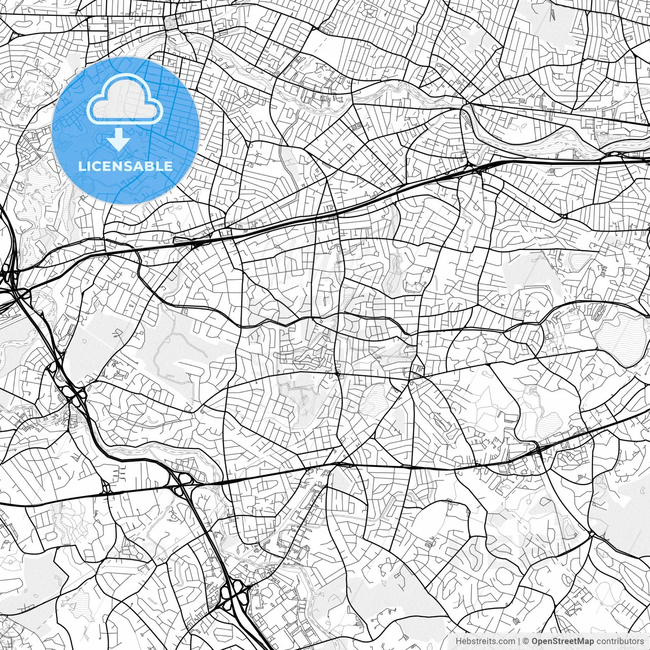 Vector PDF map of Newton, Massachusetts, United States