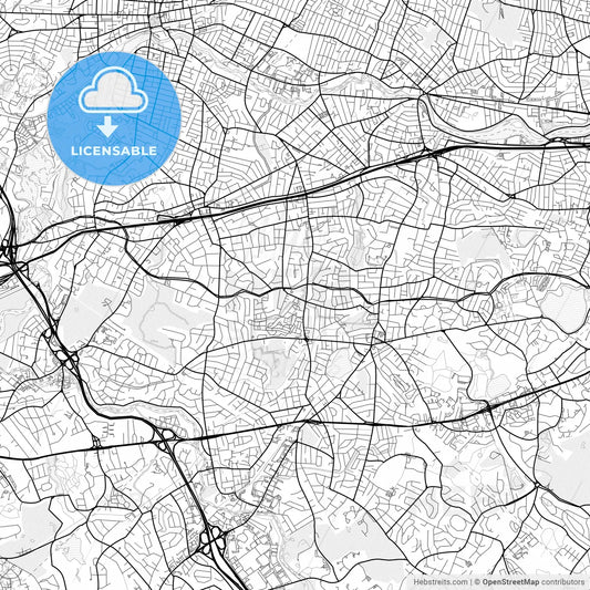 Vector PDF map of Newton, Massachusetts, United States