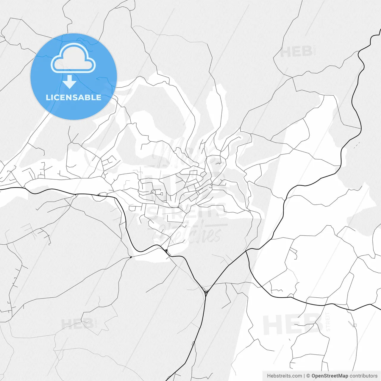 Vector PDF map of Cazin, Bosnia and Herzegovina