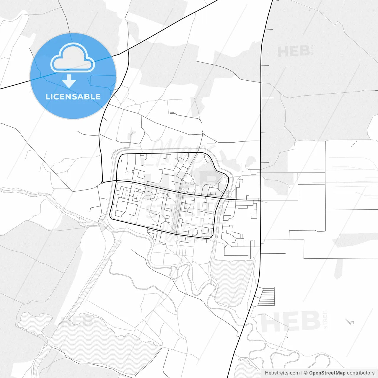 Vector PDF map of Netishyn, Ukraine