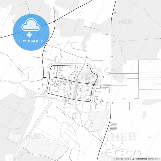 Vector PDF map of Netishyn, Ukraine