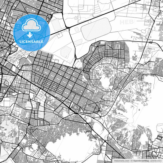 Vector PDF map of Nezahualcóyotl, Mexico