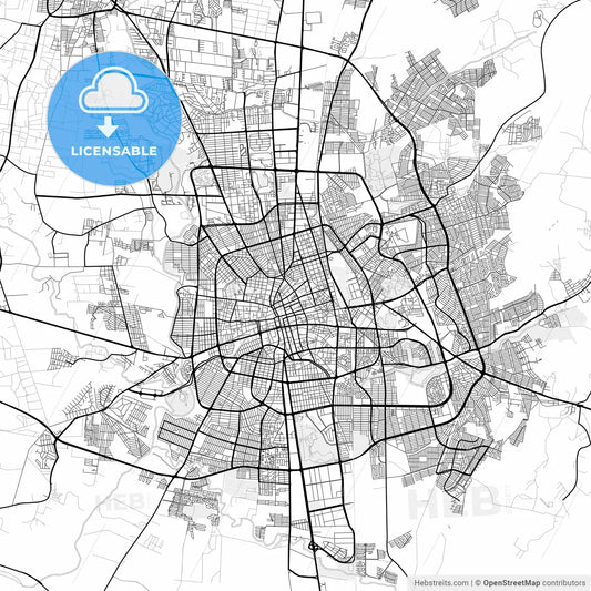 Vector PDF map of Aguascalientes, Mexico