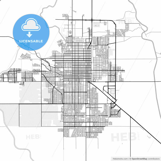 Vector PDF map of Ciudad Obregón, Mexico