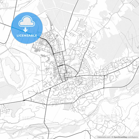 Vector PDF map of Kalush, Ukraine