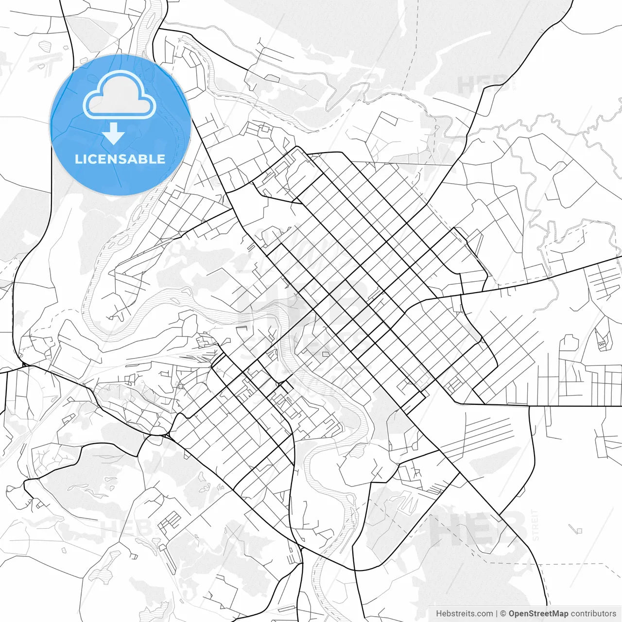 Vector PDF map of Borovichi, Russia