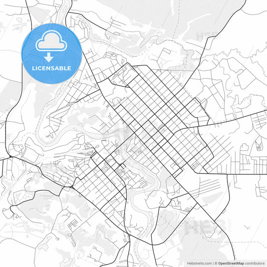 Vector PDF map of Borovichi, Russia