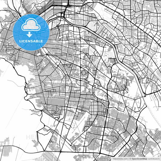 Vector PDF map of Juárez, Mexico