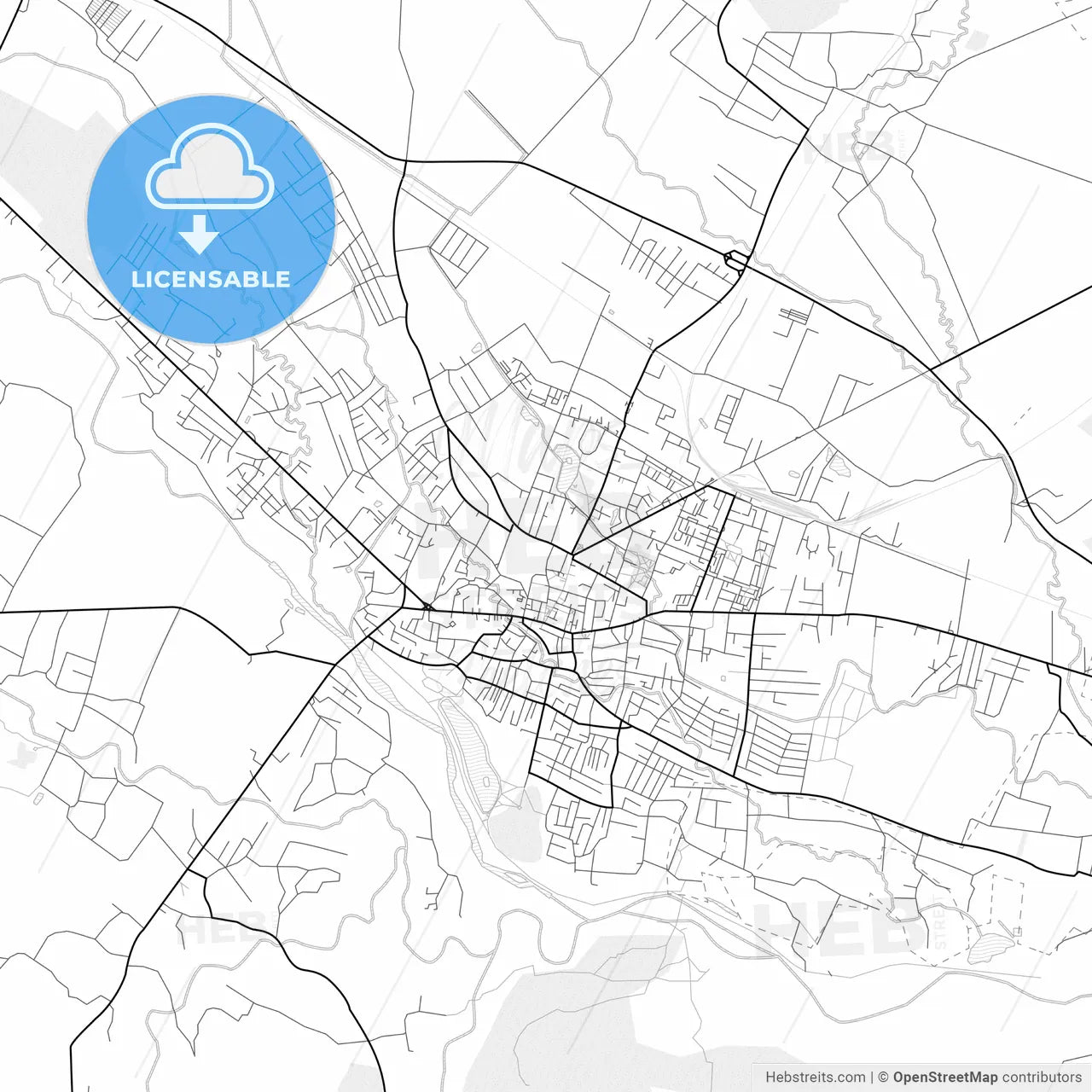 Vector PDF map of Kolomyia, Ukraine