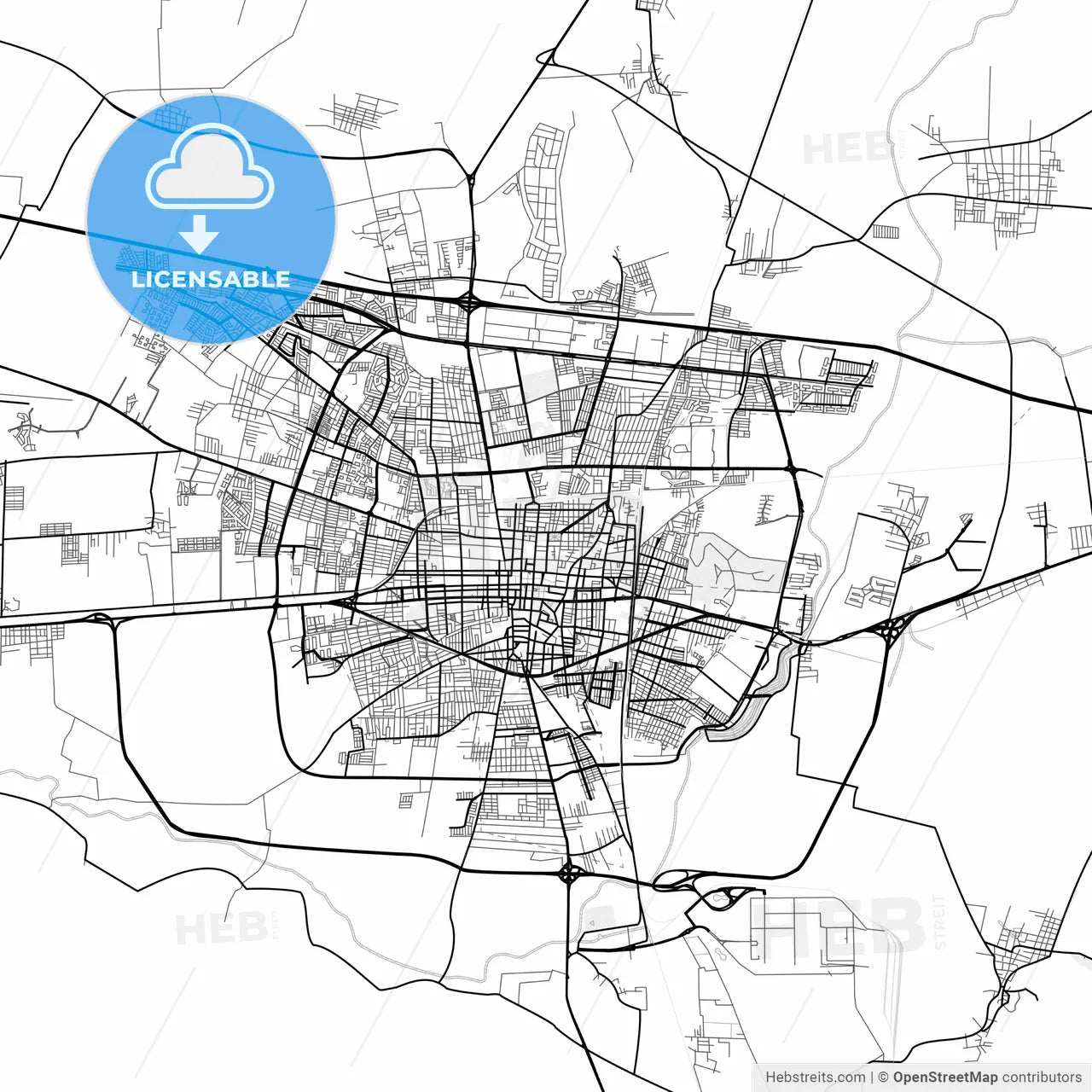 Vector PDF map of Celaya, Mexico