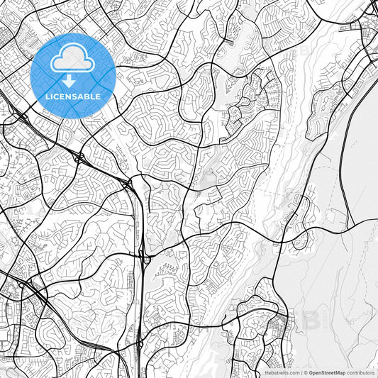 Vector PDF map of Mission Viejo, California, United States