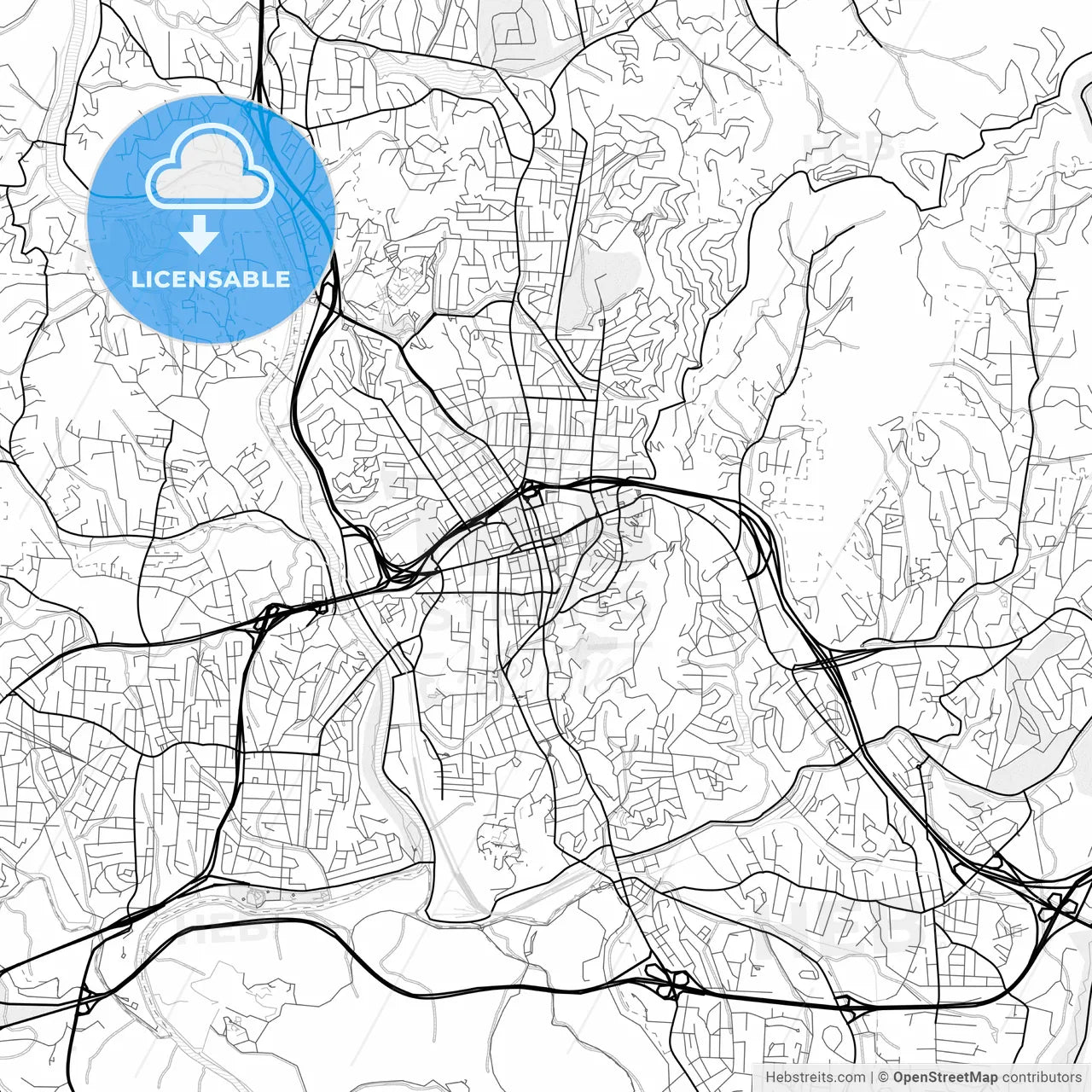 Vector PDF map of Asheville, North Carolina, United States