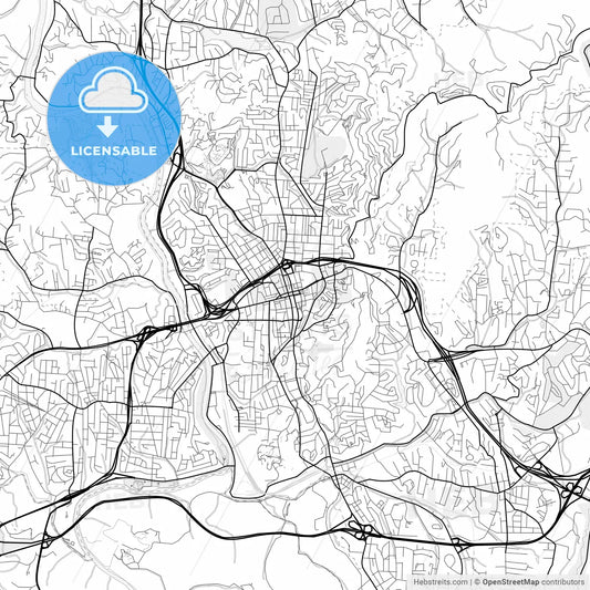 Vector PDF map of Asheville, North Carolina, United States