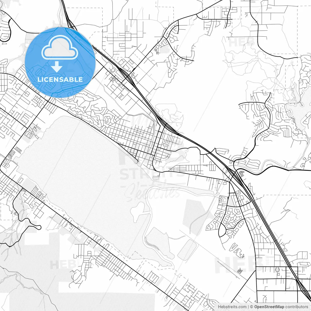 Vector PDF map of Lake Elsinore, California, United States