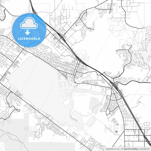 Vector PDF map of Lake Elsinore, California, United States