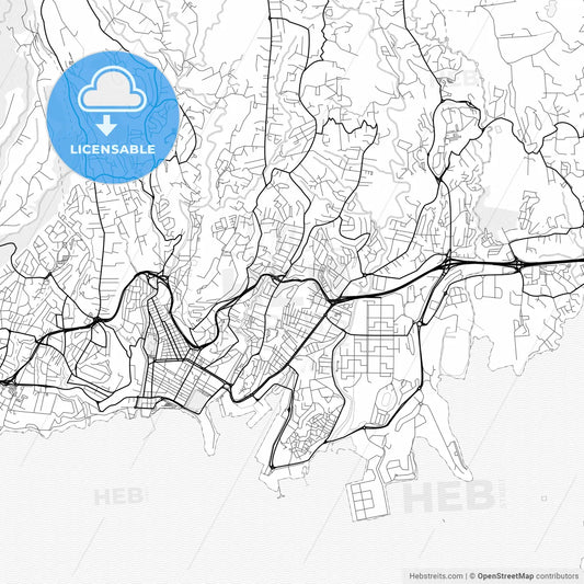 Vector PDF map of Fort-de-France, France